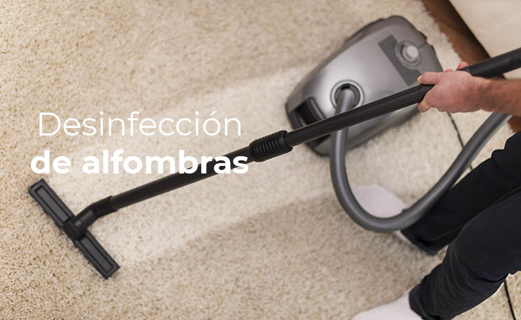 Consejos para la desinfección de alfombras antes de guardarlas